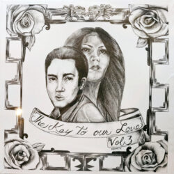 Various – The Key To Our Love Vol. 3