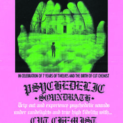 Psychedelic Soundbath with Cut Chemist